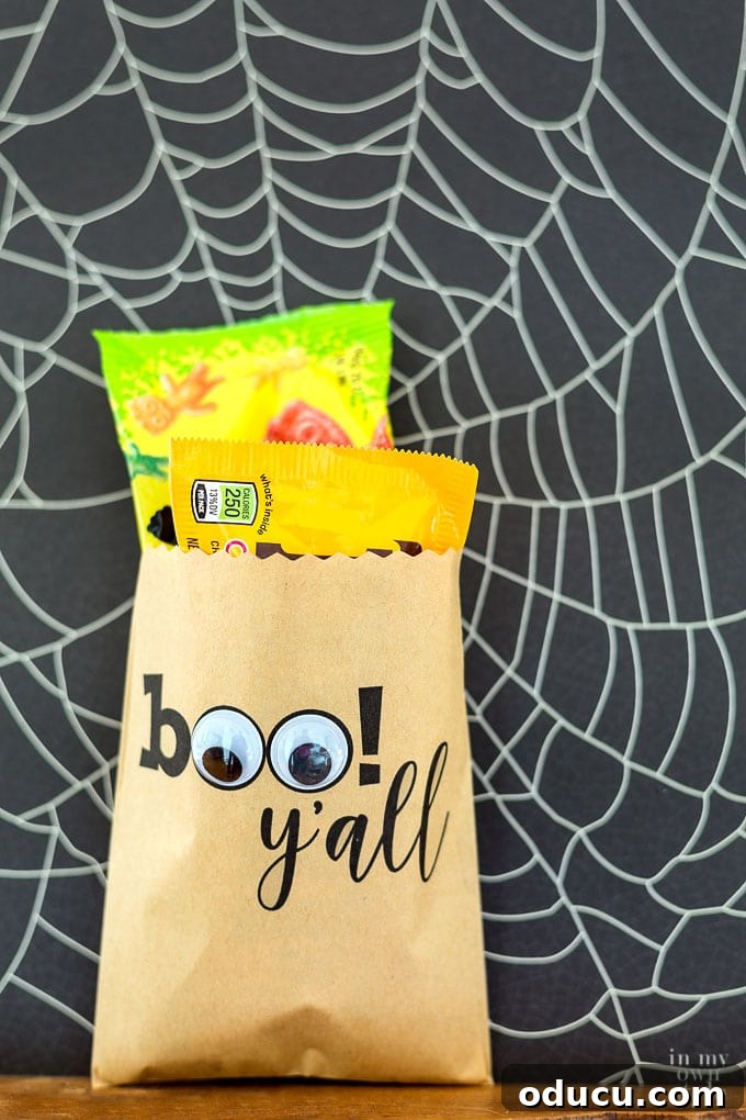 Spooktacularly Sweet Halloween Candy Pouches 2 Halloween treat bags made using a computer printer, featuring googly eyes and custom text