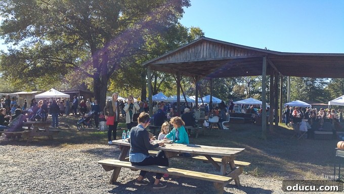 Nest Fest Wonders Near Charlotte 16 Attendees enjoying food and music at Nest Fest 2016 picnic tables