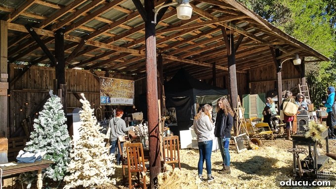 Nest Fest Wonders Near Charlotte 17 A beautiful fall day at Nest Fest, perfect for outdoor activities