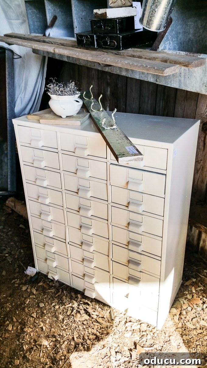 Nest Fest Wonders Near Charlotte 18 A unique vintage metal chest with drawers discovered at Nest Fest