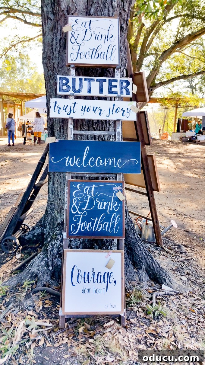 Nest Fest Wonders Near Charlotte 3 Nest Fest welcome sign, showcasing the event's charming aesthetic
