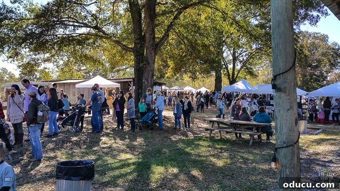 Nest Fest Wonders Near Charlotte 9 Stylish outdoor decor showcasing Myquillyn's distinctive aesthetic at Nest Fest