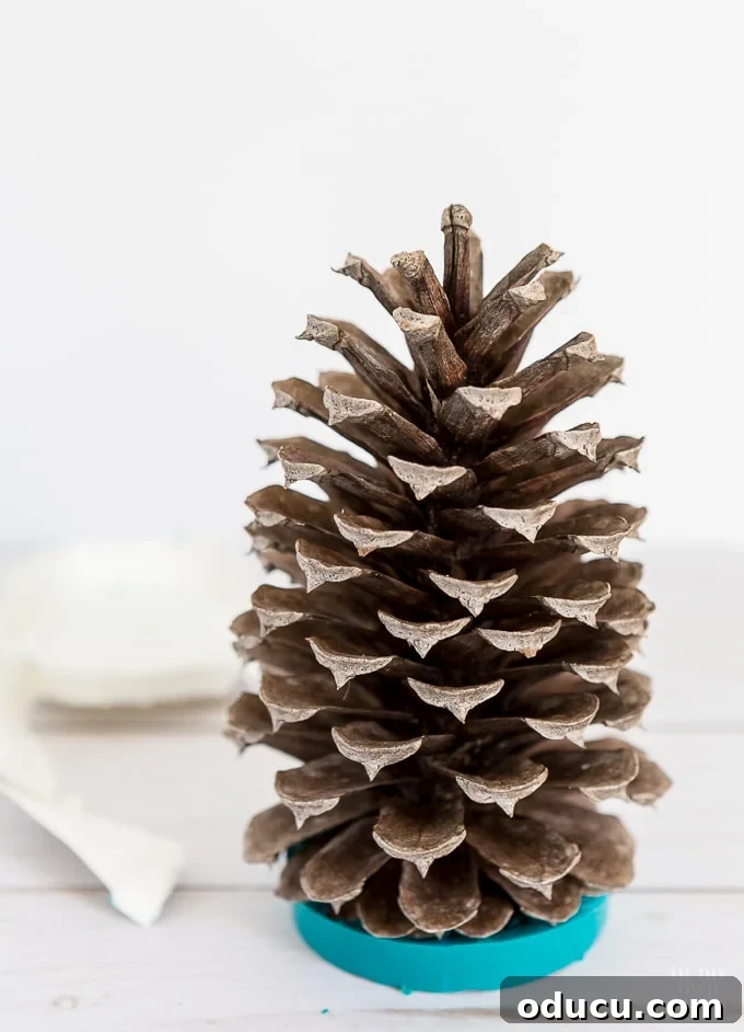 Vibrant Fragrant Holiday Pinecone Creations 11 The finished pine cone tree with a smooth, colorful wax base, ready for optional embellishments and scenting.
