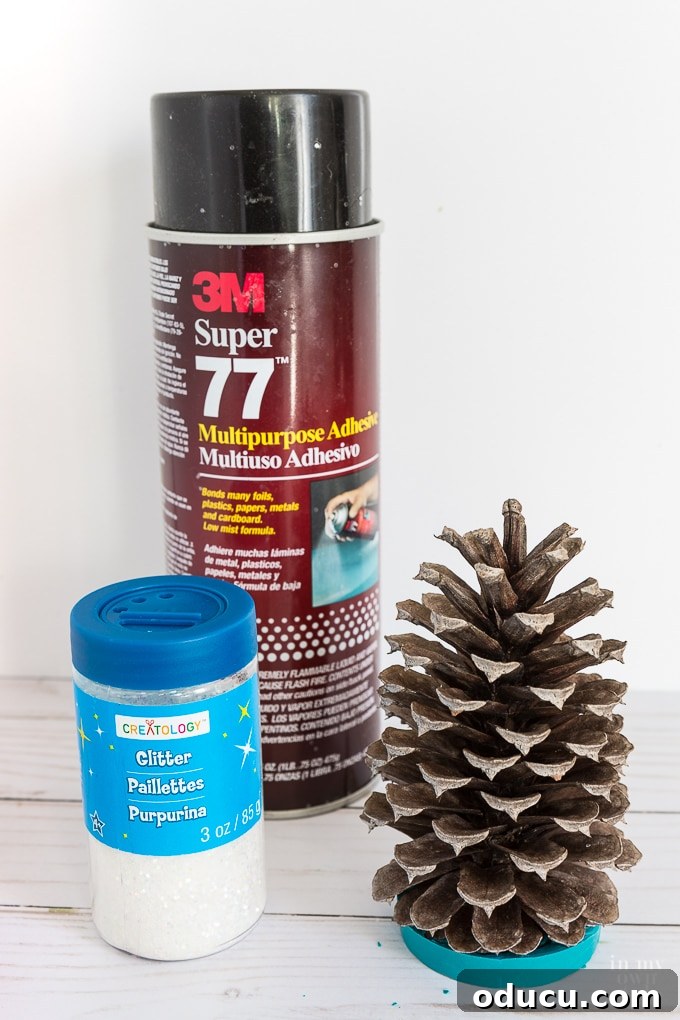 Vibrant Fragrant Holiday Pinecone Creations 12 Applying spray glue evenly over a pine cone to prepare its surface for glitter adherence.