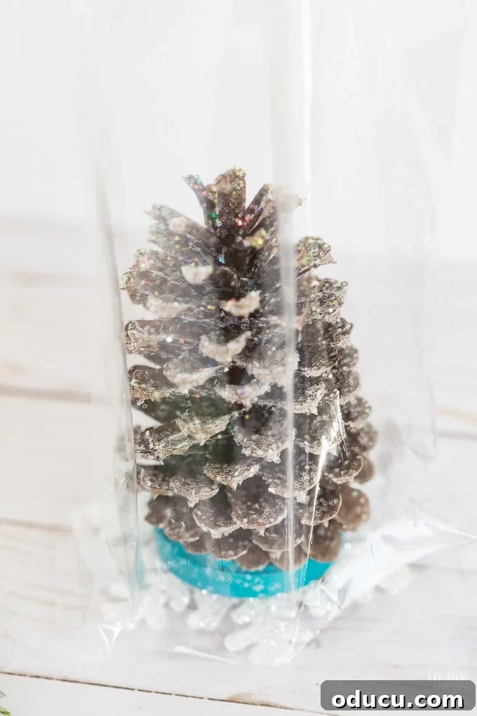 Vibrant Fragrant Holiday Pinecone Creations 17 Placing the finished pine cone tree inside the clear gift bag, carefully centered on the snowflake ornament.