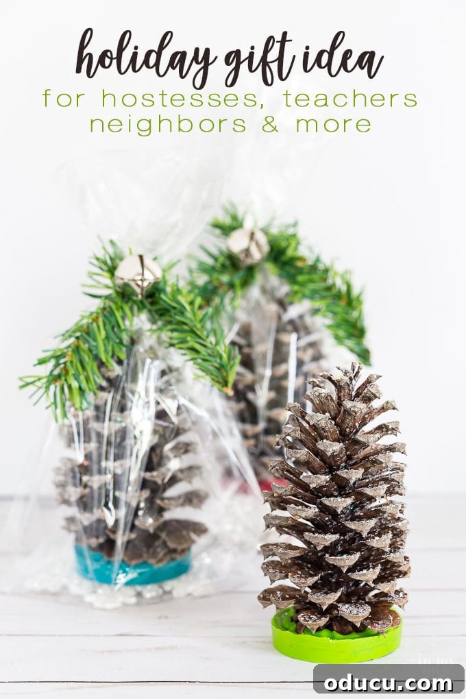 Vibrant Fragrant Holiday Pinecone Creations 20 Collection of beautifully wrapped handmade pine cone gifts, perfect for hostesses, teachers, and neighbors during the holidays, showcasing various colors and festive accents.