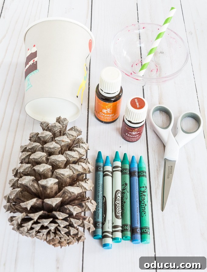 Vibrant Fragrant Holiday Pinecone Creations 3 Crafting supplies for making scented pine cone trees, including essential oils, crayons, paper cups, and stirring sticks.