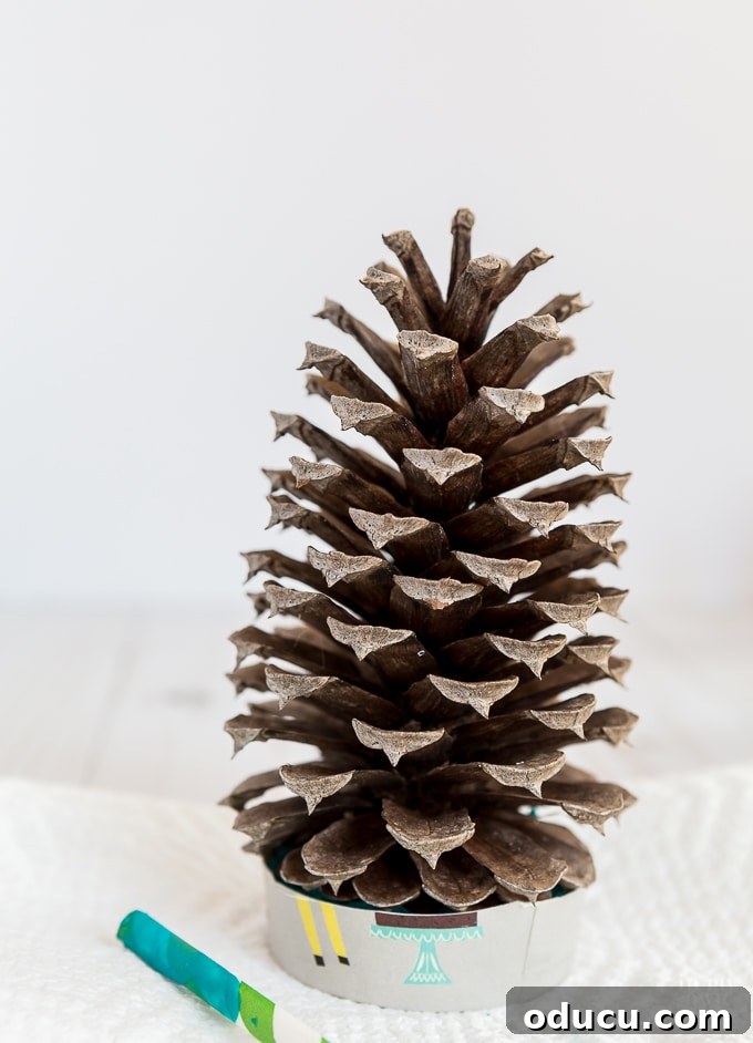 Vibrant Fragrant Holiday Pinecone Creations 9 Straightening the pine cone within the hardening wax base to ensure it stands perfectly upright and centered.