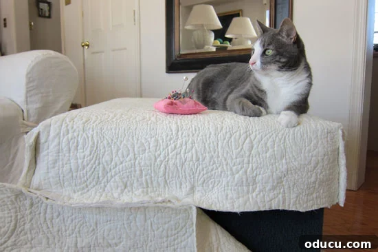 Quilt-slipcover-tutorial-2 Slipcover pieces on ottoman with cat in background