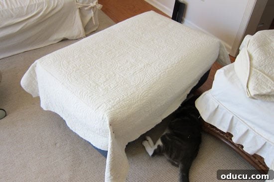 quilt-slipcover-9 Cat 'helping' with the slipcover pinning