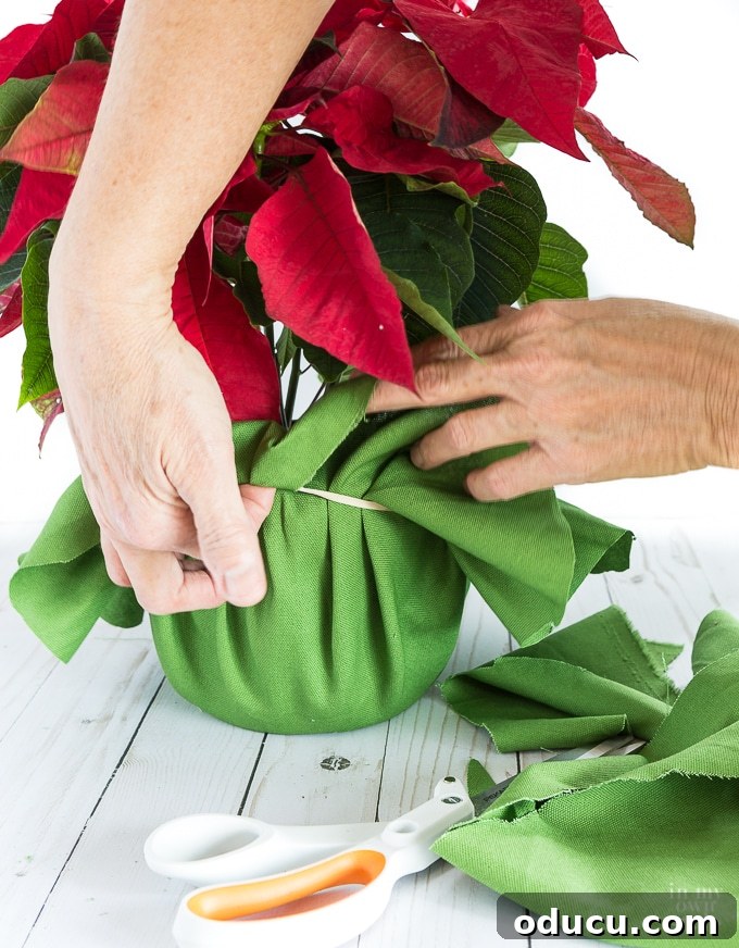 The Art of Beautifully Wrapping Potted Plants and Blooms 11 How to wrap a flower pot to give as a gift