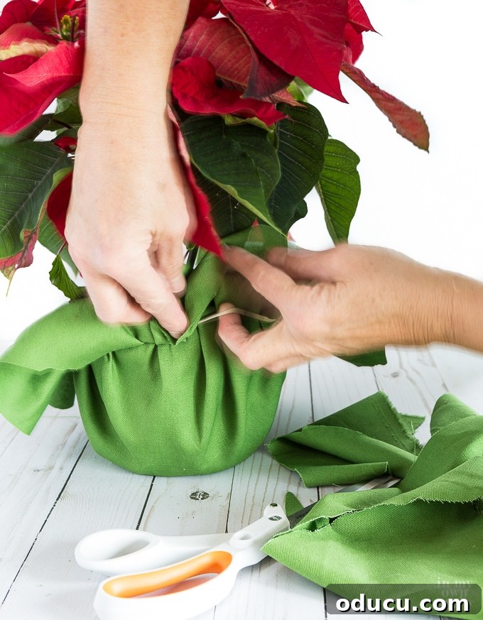The Art of Beautifully Wrapping Potted Plants and Blooms 12 How to wrap a Christmas plant