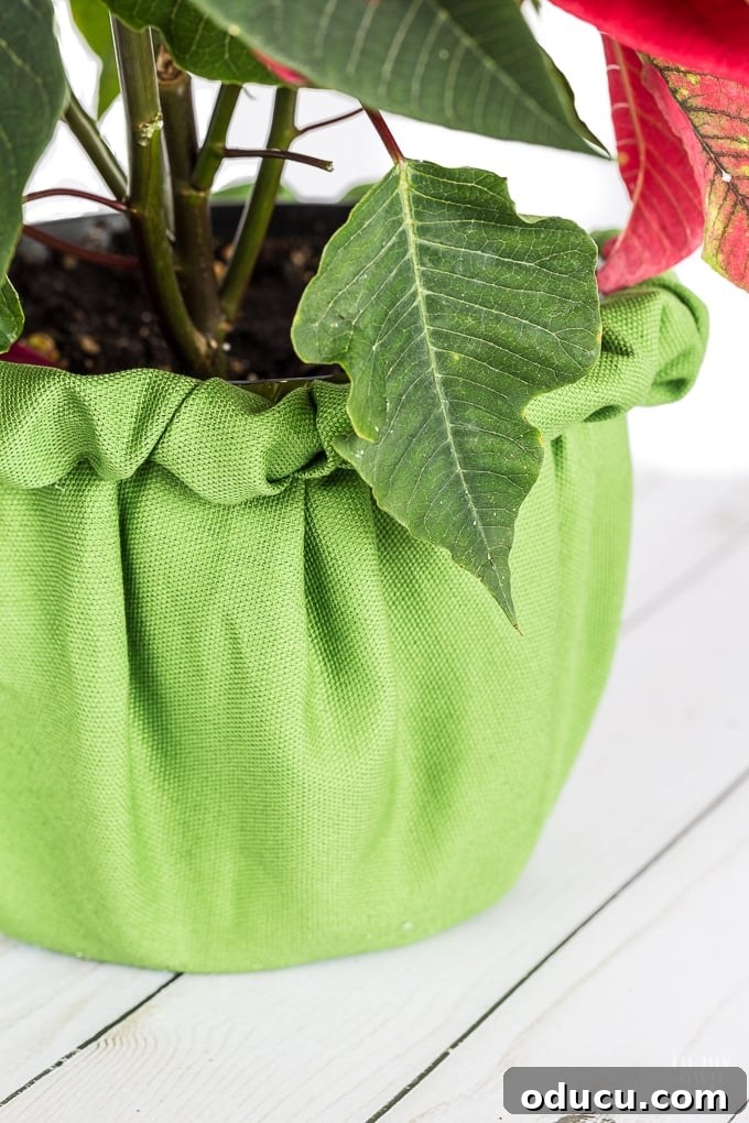 The Art of Beautifully Wrapping Potted Plants and Blooms 14 Fabric cover hack for plastic flower pots
