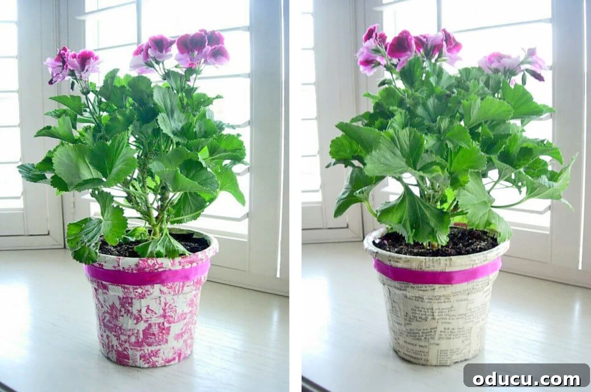 The Art of Beautifully Wrapping Potted Plants and Blooms 16 how to wrap flowers to give as a gift.