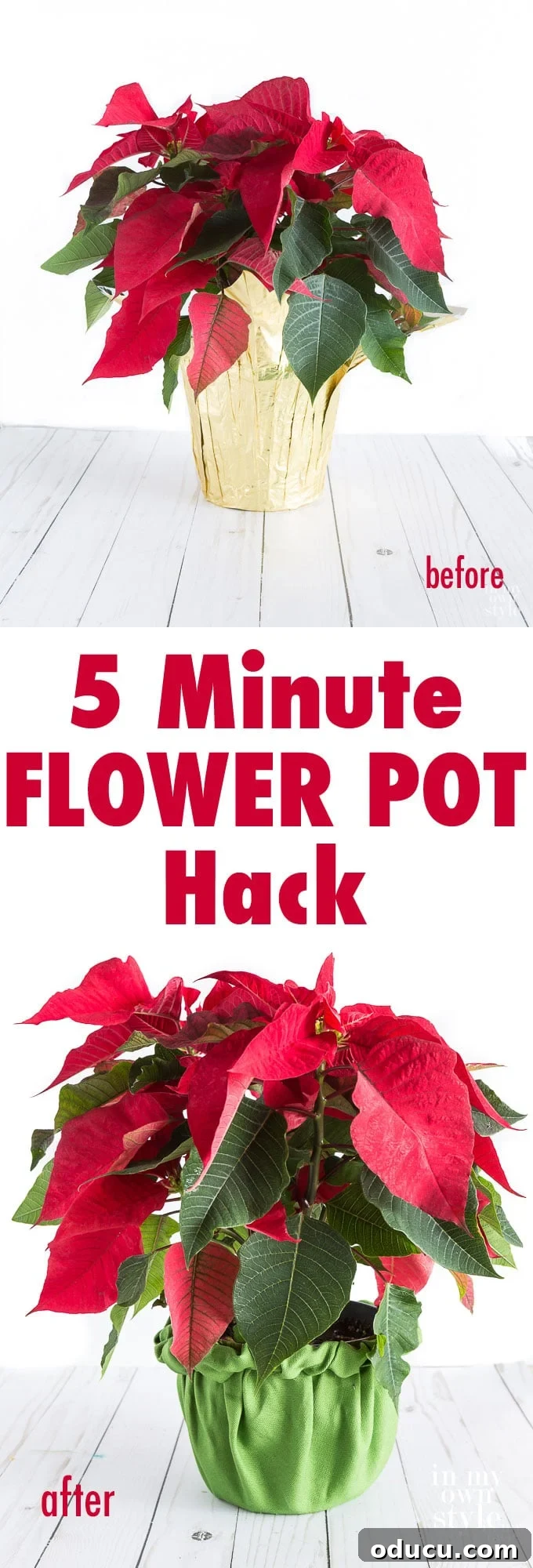 The Art of Beautifully Wrapping Potted Plants and Blooms 17 Creative way to wrap a plant or flower pot to give as a gift or to simply hide the ugly plastic and foil it came with.