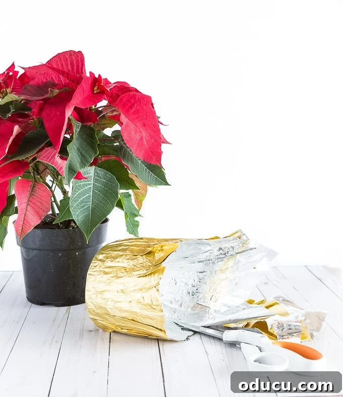 The Art of Beautifully Wrapping Potted Plants and Blooms 4 Plastic Flower pot hacks