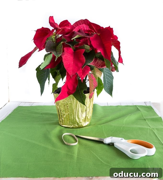 The Art of Beautifully Wrapping Potted Plants and Blooms 6 Flower pot hacks to coordinate with your decor or for giving as gifts