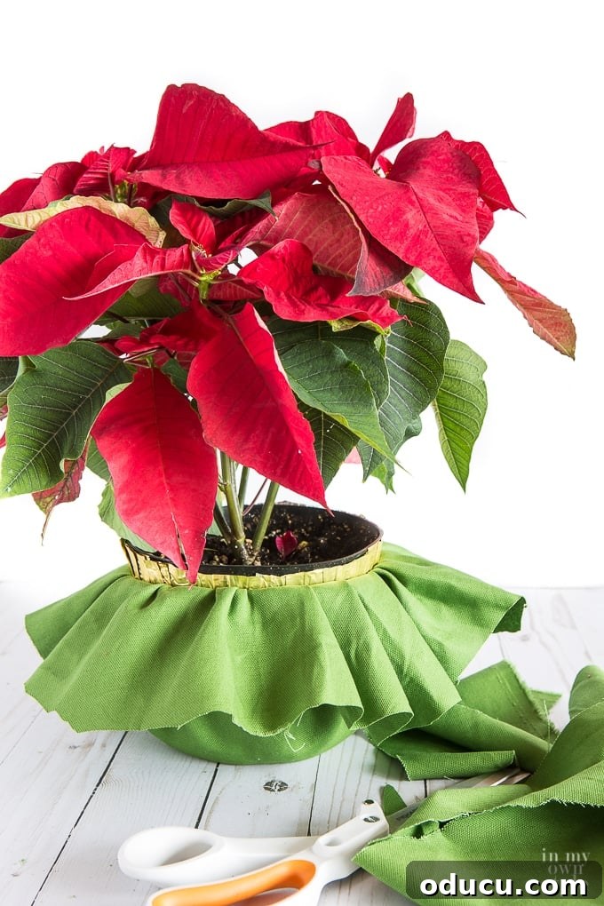 The Art of Beautifully Wrapping Potted Plants and Blooms 10 Creative way to hide an ugly plastic flower pot