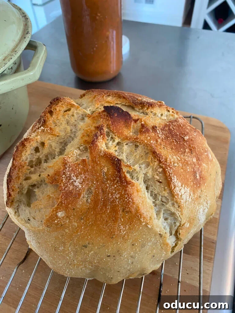 Own Your January 5 Fresh out of the oven whole wheat sourdough bread.