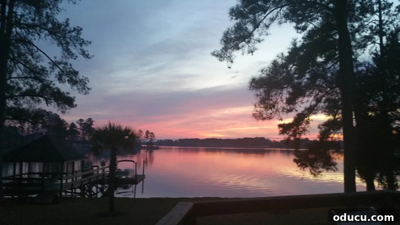 Lake House Living A DIY First Year 5 Relaxing summer living ideas by the lake, enjoying the view