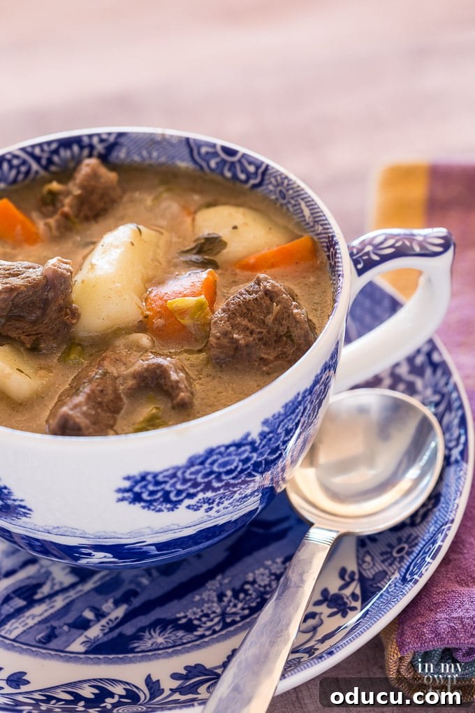 Cozy Winter Interiors: Cultivate Calm and Rejuvenation 12 A comforting bowl of beef stew, perfect for a cozy winter evening