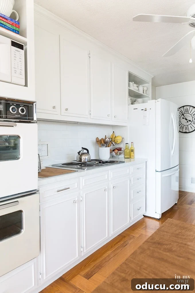 Flawless Cabinet Painting: Your Guide to a Factory-Smooth Finish 7 img 40765 7