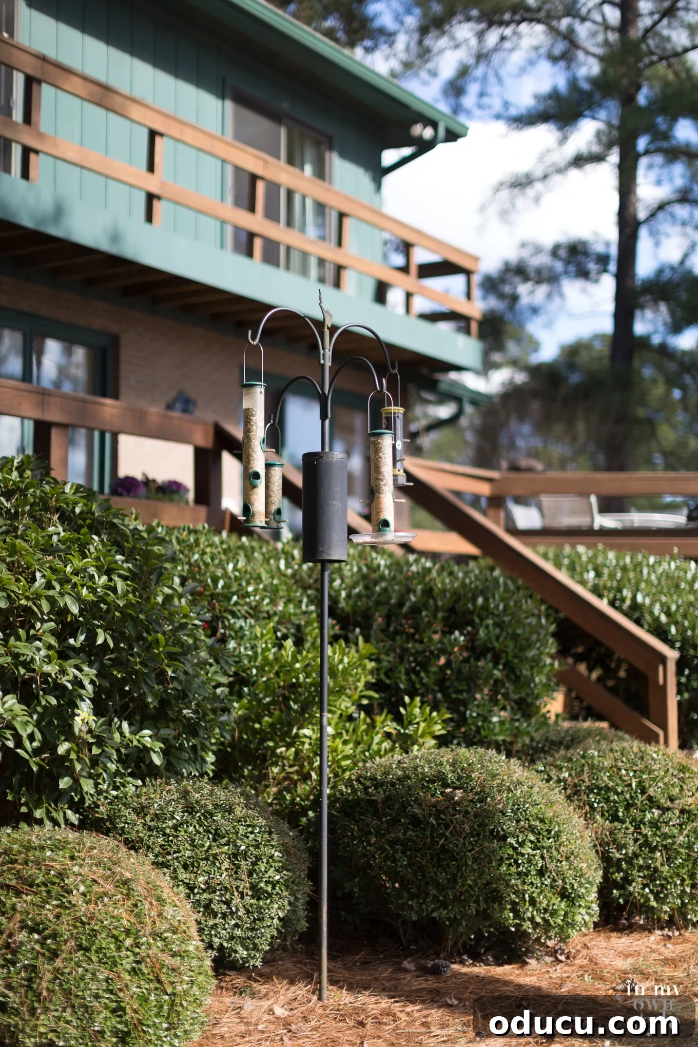 Elevate Your Birdhouse Decor 2 Creative Ways to Decorate a Birdhouse with Paint and Fabric