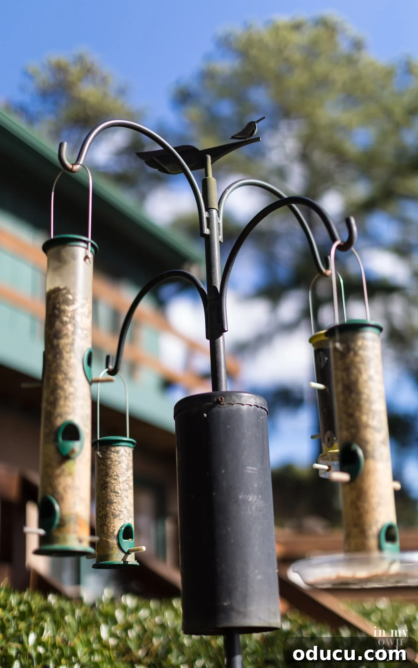 Elevate Your Birdhouse Decor 4 Enhancing Your Garden with Hand-Painted Birdhouses and Feeders