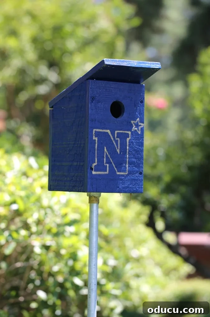 Elevate Your Birdhouse Decor 5 Transforming a Birdhouse with Vibrant Paint and Decorative Elements