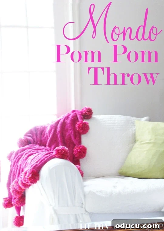 My Signature Pom Pom Basket 19 Chic Pom Pom Throw Blanket DIY project