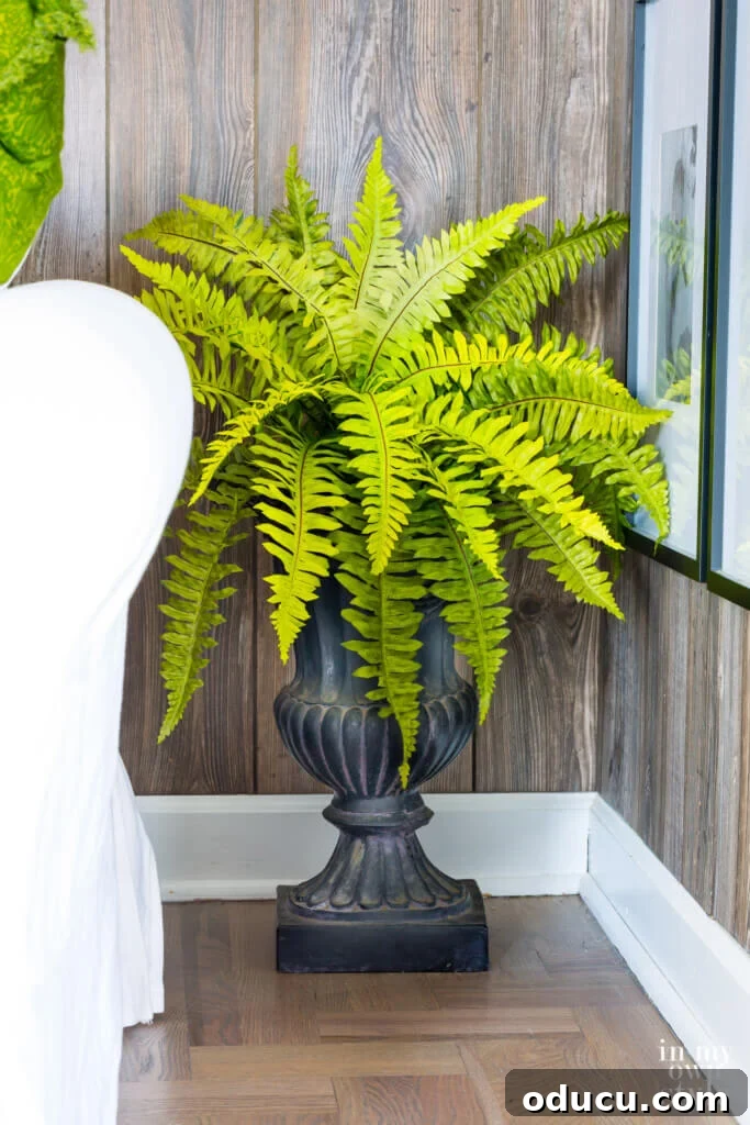Transform an Old Urn into a Chic Side Table 2 Stylish black garden urn with a lush fern, serving as an elegant living room accent piece.
