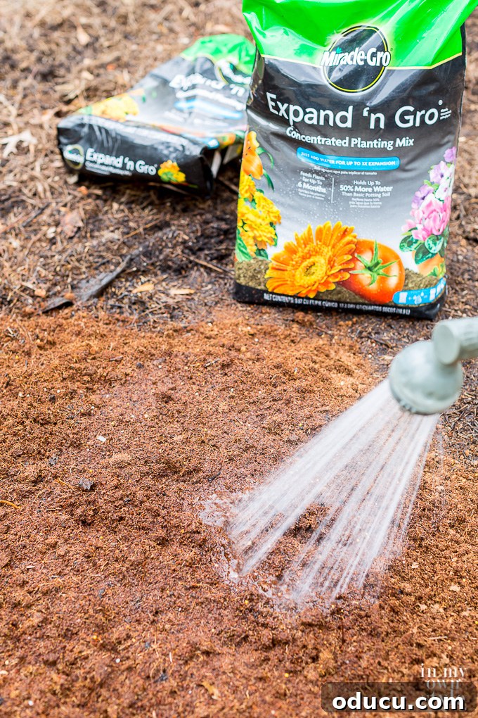 Non-Stop Summer Blooms: Your Guide 11 Water being thoroughly added to freshly prepared garden soil for optimal hydration and expansion