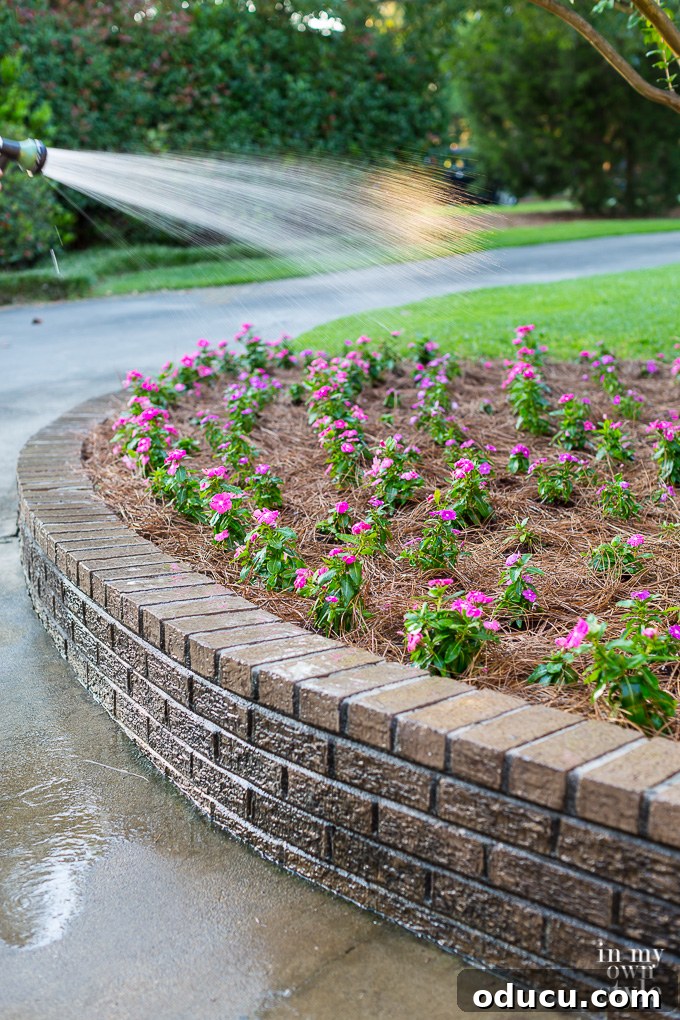 Non-Stop Summer Blooms: Your Guide 15 Gardener carefully watering flowers with a hose, illustrating optimal watering practices for a lush garden