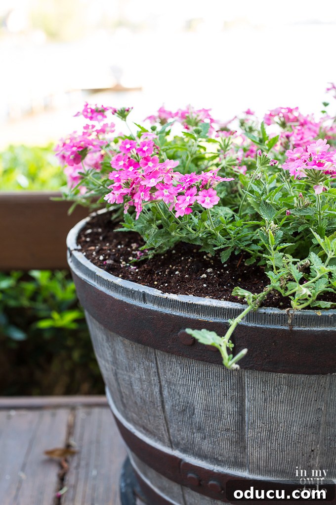 Non-Stop Summer Blooms: Your Guide 16 Gardener deadheading a spent flower, a crucial technique for promoting new growth and continuous blooming