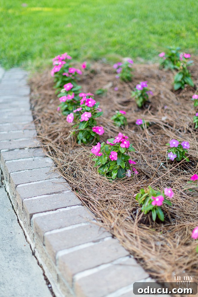 Non-Stop Summer Blooms: Your Guide 6 Gardener preparing soil for planting, emphasizing the importance of understanding growing regions
