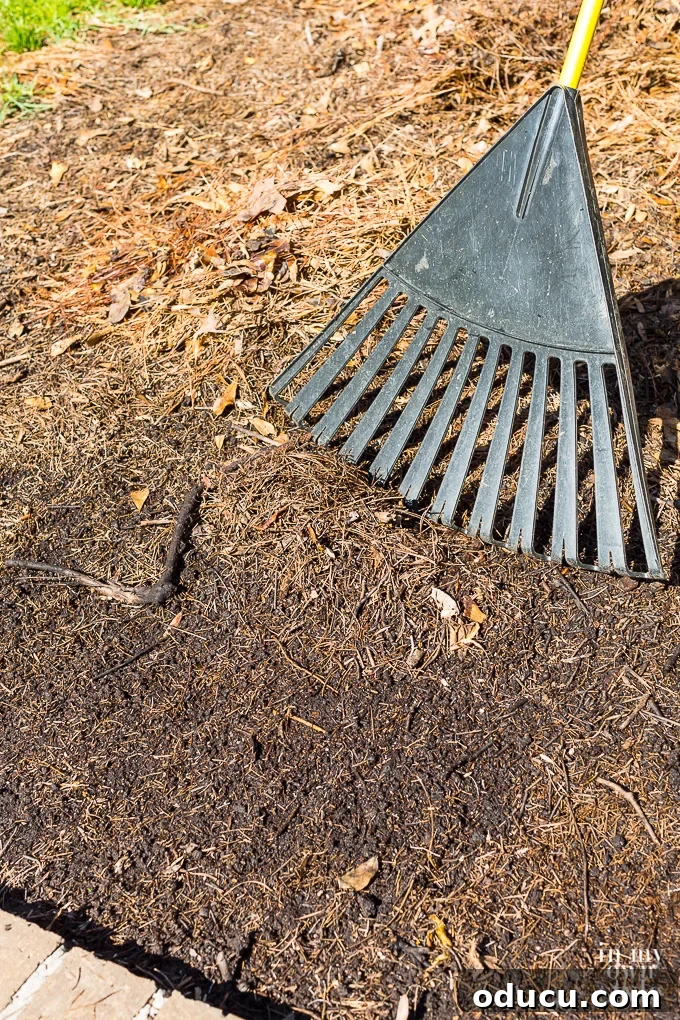 Non-Stop Summer Blooms: Your Guide 8 Gardener preparing garden bed soil, demonstrating effective soil amendment techniques for flower growth
