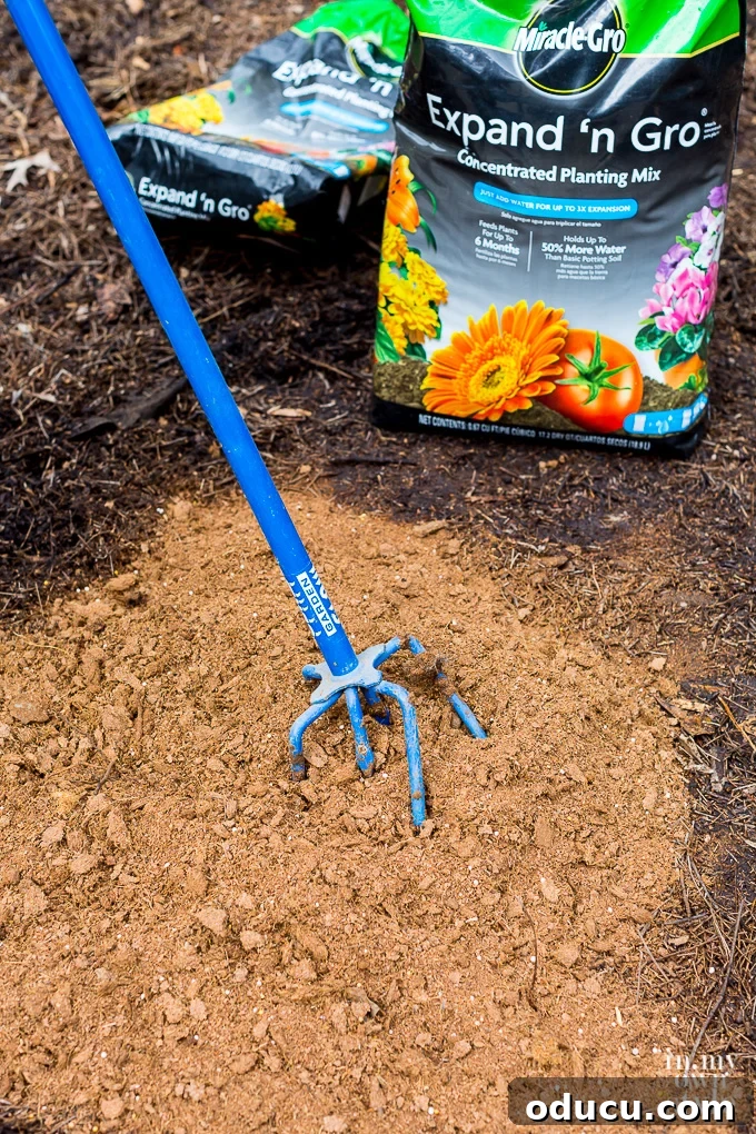 Non-Stop Summer Blooms: Your Guide 9 Close-up of garden soil being thoroughly broken up and mixed, enhancing aeration and drainage for flowers