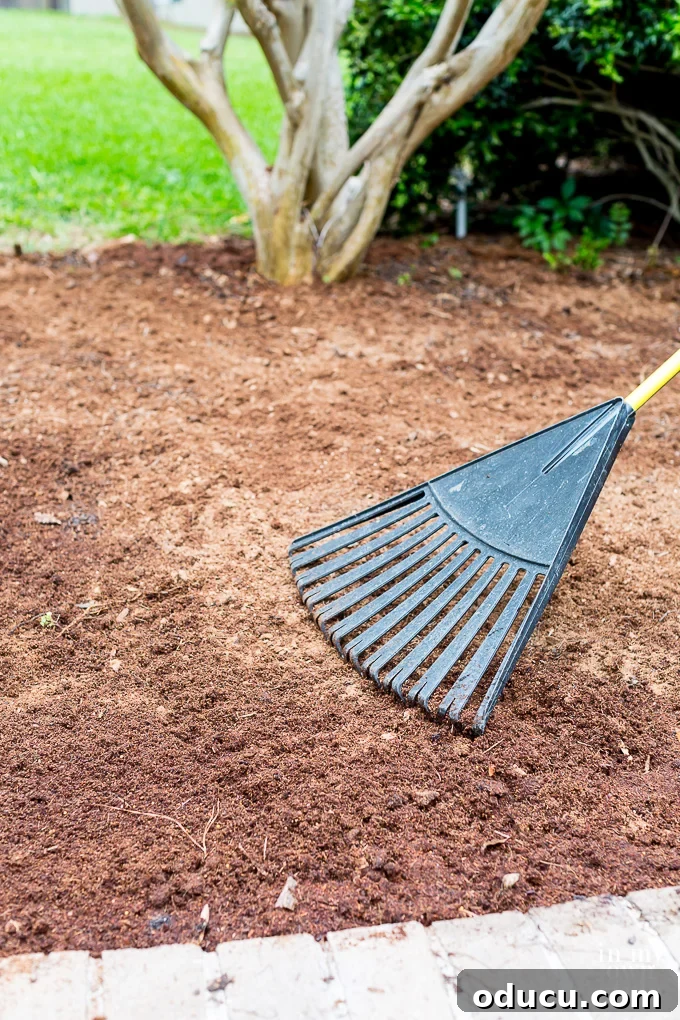 Non-Stop Summer Blooms: Your Guide 10 Gardener skillfully using 'The Claw' tool to mix and aerate garden soil for flower beds