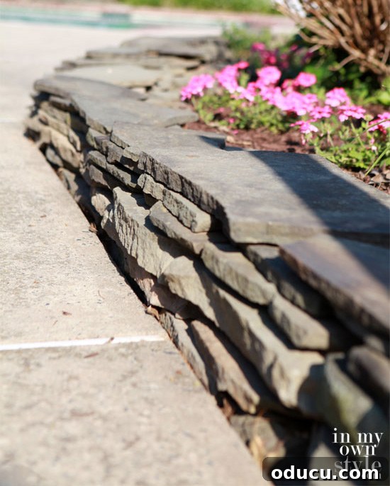 Transform Your Garden Planting Annuals with Fresh Soil 2 Vinca and Verbena: The best drought-resistant annuals for hot, dry areas