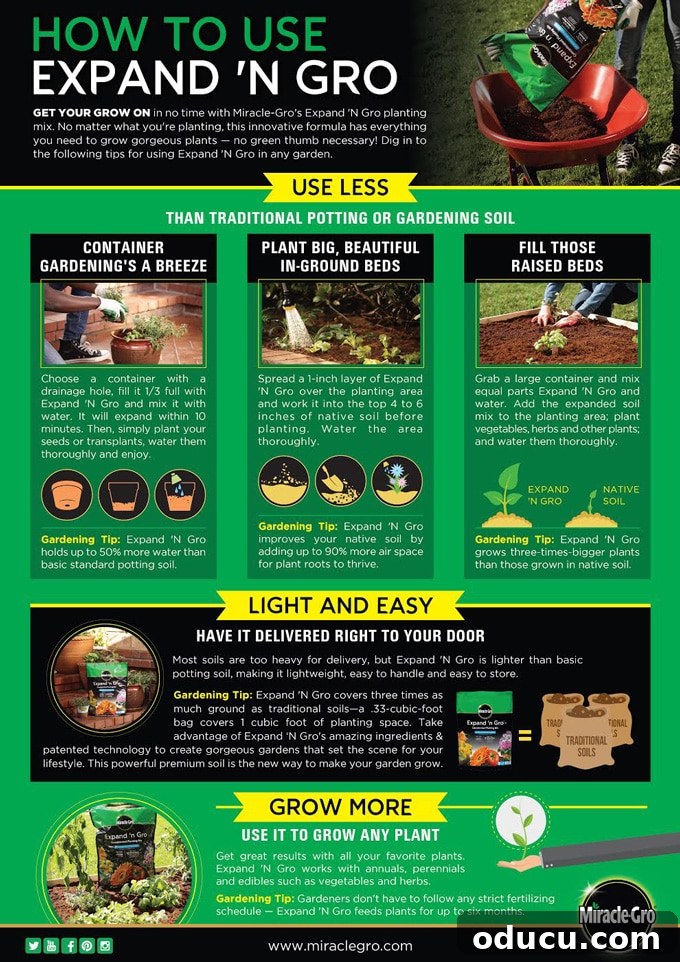 Transform Your Garden Planting Annuals with Fresh Soil 10 Tips for gardening soil by Miracle-Gro for all gardens