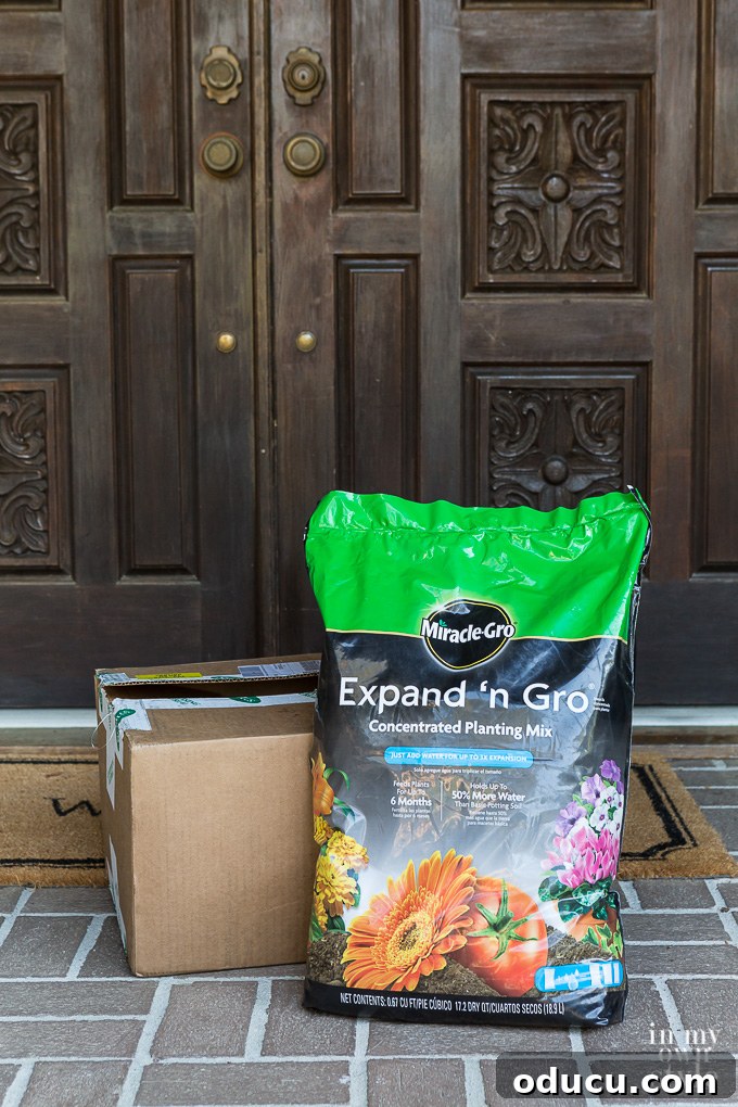Transform Your Garden Planting Annuals with Fresh Soil 6 Miracle-Gro Expand 'n Gro soil for healthy flowers