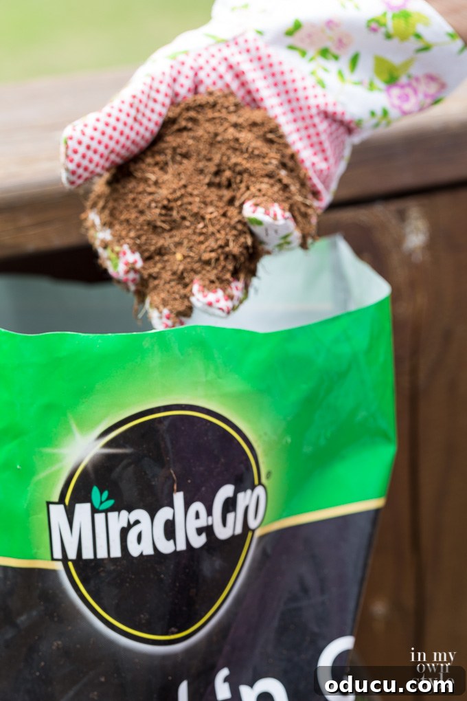 Transform Your Garden Planting Annuals with Fresh Soil 8 How to grow drought-resistant flowers with Miracle-Gro Expand 'n Gro