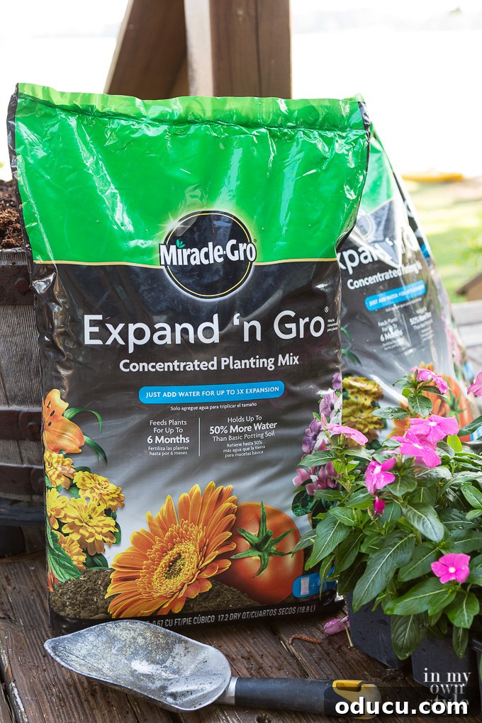 Transform Your Garden Planting Annuals with Fresh Soil 9 Miracle-Gro Expand 'n Gro soil ready for planting