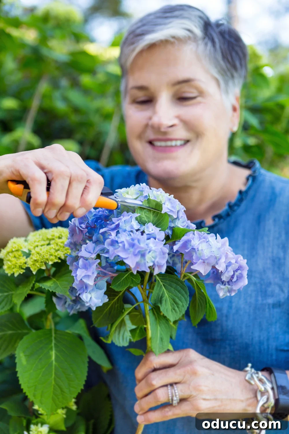 Beautiful Flower Arrangements Made Simple 2 A person in an outdoor setting cutting fresh hydrangeas for a simple flower arrangement.