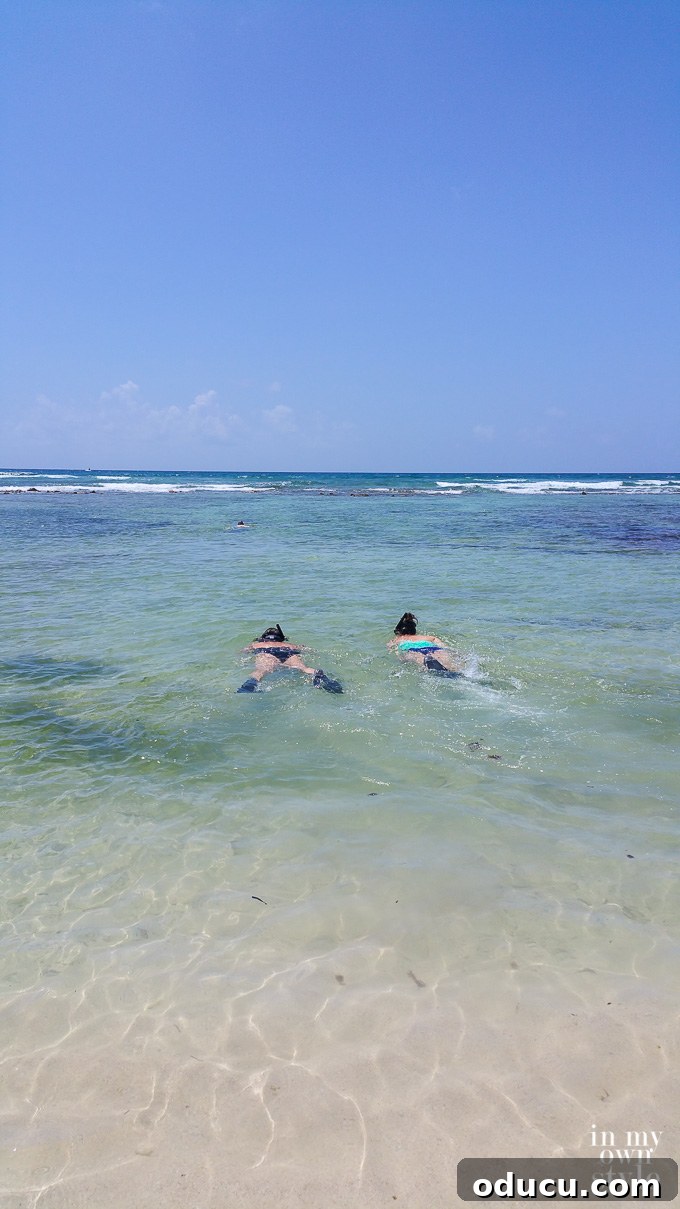 A Taste of Heaven: El Dorado Seaside Suites Mexico 14 Snorkeling adventure at El Dorado Seaside Suites resort on the Riviera Maya