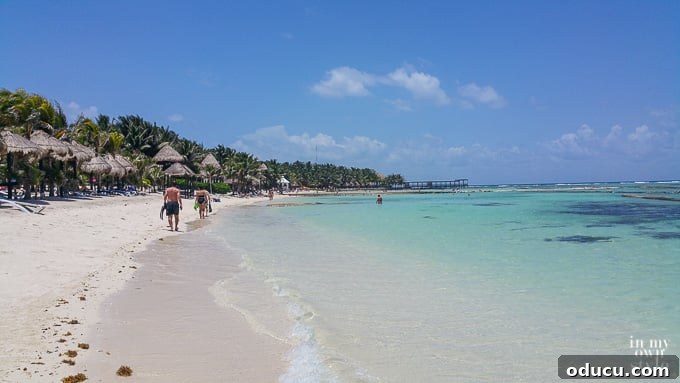 A Taste of Heaven: El Dorado Seaside Suites Mexico 15 Enjoying the beautiful beach at El Dorado Seaside Suites resort on the Riviera Maya