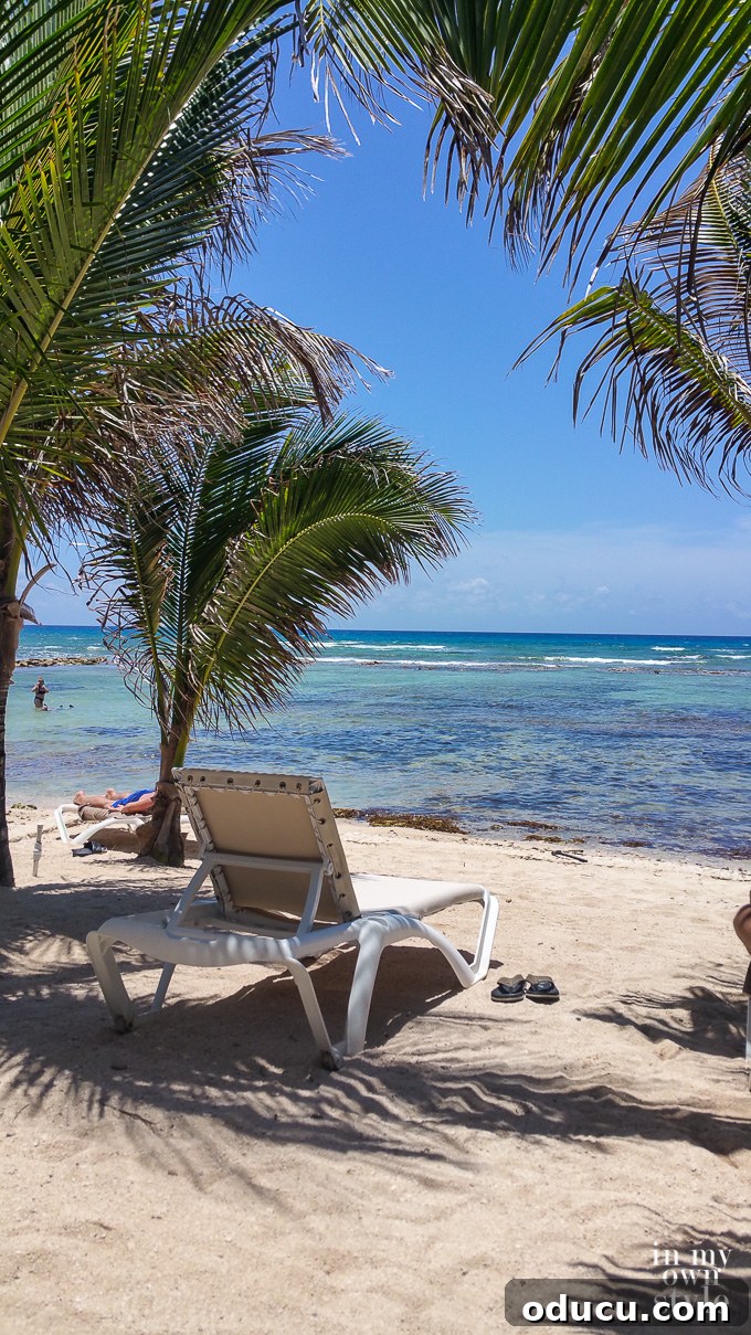 A Taste of Heaven: El Dorado Seaside Suites Mexico 16 Majestic coral reef along the Riviera Maya coastline