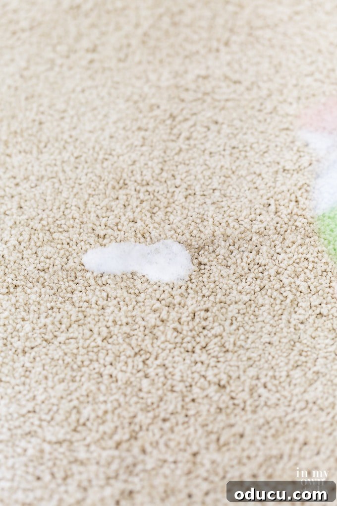 Unlock the Secret to Spotless Carpets 10 Removing carpet stain trick using a light spray