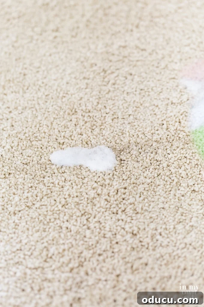 Banish Unsightly Carpet Stains for Good 12 Expert carpet stain removal trick for a flawless finish