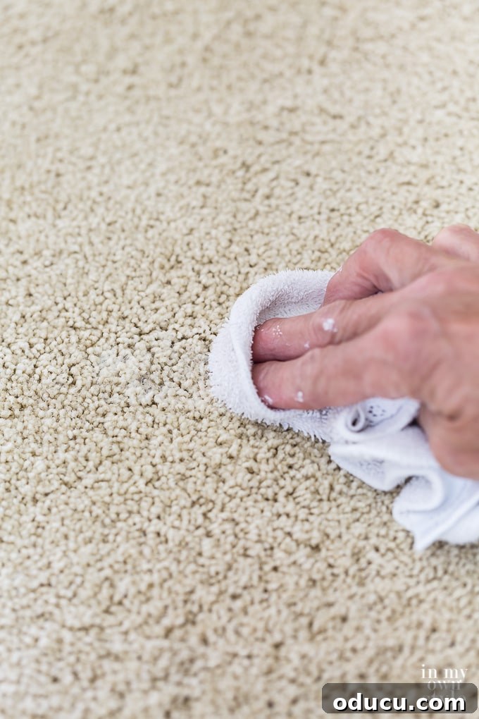 Unlock the Secret to Spotless Carpets 11 Carpet and rug stain removal hack: blotting with a white cloth